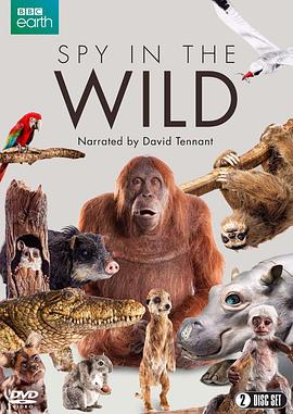 你还在被保本谣言误导第二个母亲2中文字幕