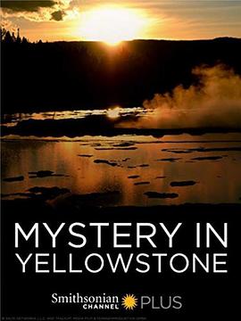 别再被专家背书伪造中国绝色av女优